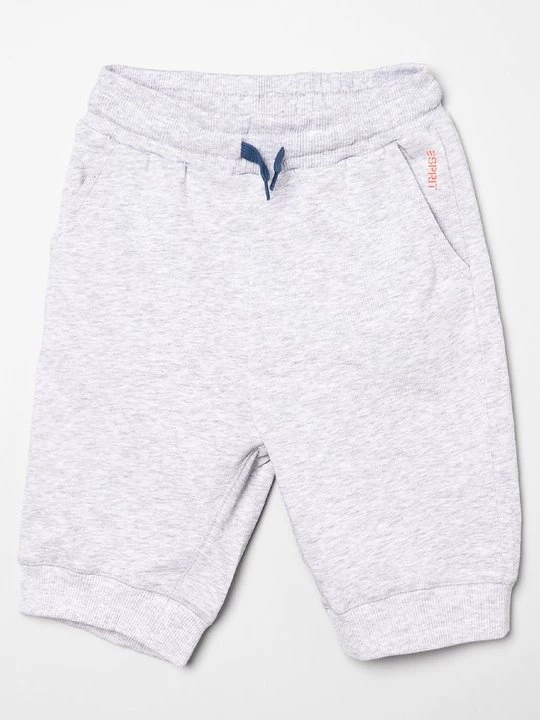 Foto van product Shorts Esprit grijs