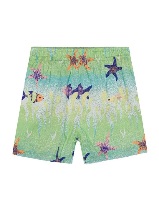 Foto van product Shorts Molo