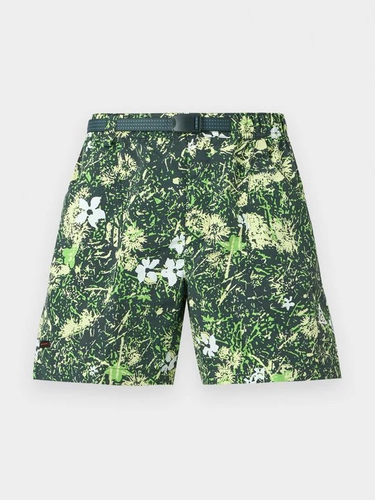 Foto van product Shorts Nike groen