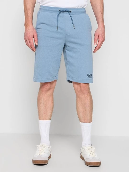 Foto van product Shorts Petrol Industries blauw