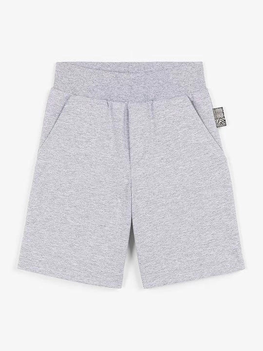 Foto van product Shorts Roberto Cavalli grijs