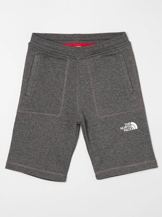 Foto van product Shorts The North Face grijs