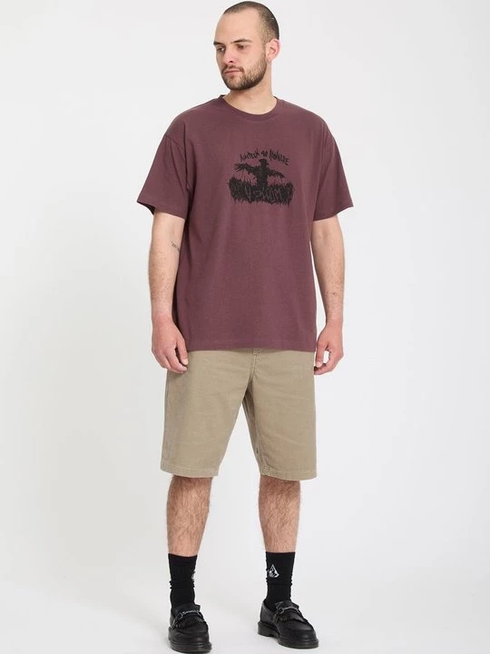 Foto van product Shorts Volcom beżowy