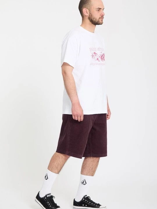 Foto van product Shorts Volcom rood