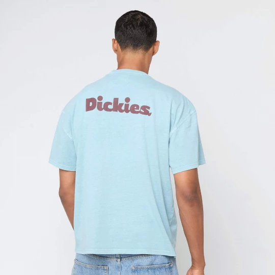 Foto van product Slayden GD Shortsleeve Tee Dickies blauw