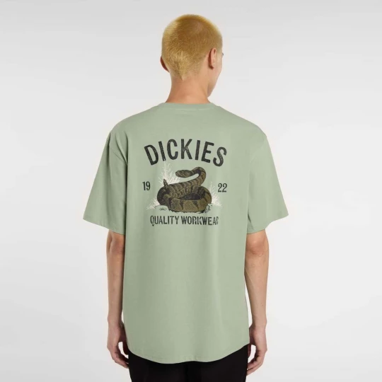Foto van product Snake Tee Dickies groen