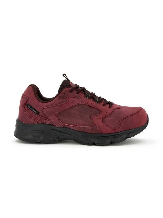 Foto van product Sneakers laag Scholl bordeauxrood