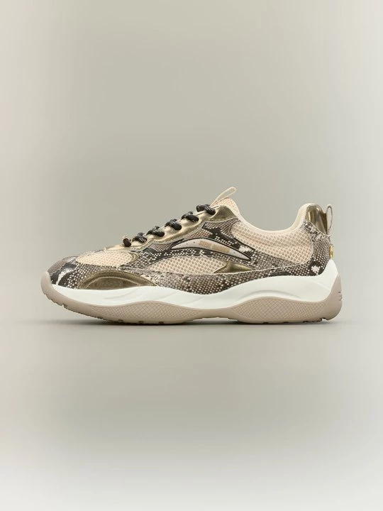 Foto van product Sneakers laag Steve Madden