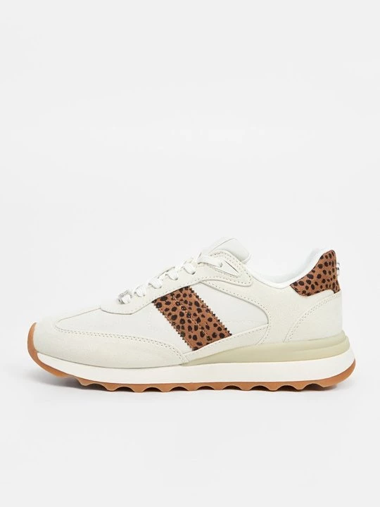 Foto van product Sneakers laag Steve Madden bruin