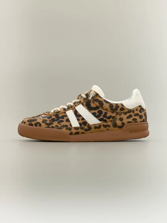 Foto van product Sneakers laag Steve Madden bruin