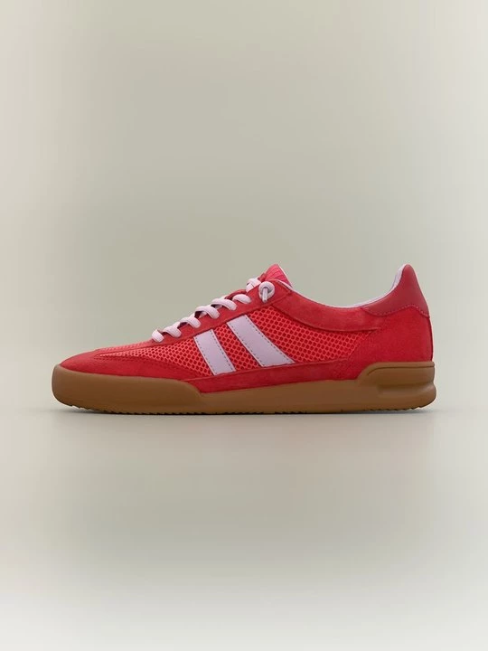 Foto van product Sneakers laag Steve Madden rood