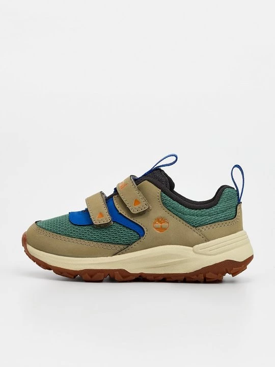 Foto van product Sneakers laag Timberland groen