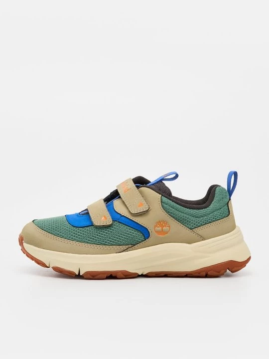 Foto van product Sneakers laag Timberland groen
