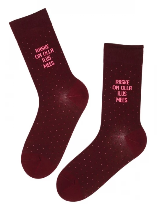 Foto van product Sokisahtel Sokken 'TAAVI cotton socks for a handsome man' bourgogne