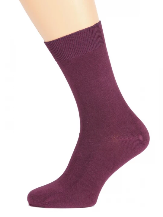 Foto van product Sokisahtel Sokken 'TAUNO men's socks' donkerlila