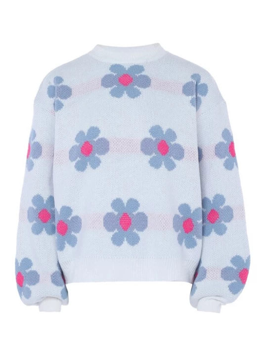 Foto van product Sookie Trui lichtblauw / lavendel / pink