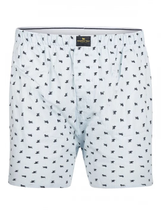 Foto van product Steppin' out Boxershorts lichtblauw