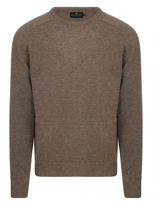Foto van product Steppin' out Shirt bruin