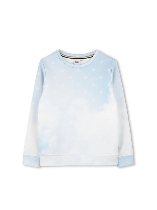 Foto van product Sweater Boss blauw