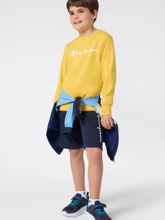 Foto van product Sweater Champion lichtgeel