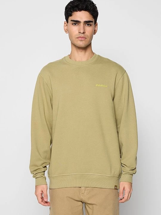 Foto van product Sweater Dickies groen
