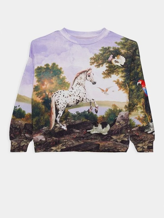 Foto van product Sweater Molo