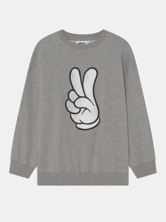 Foto van product Sweater Molo grijs