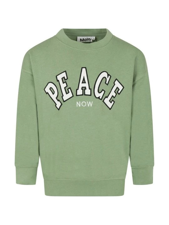Foto van product Sweater Molo groen