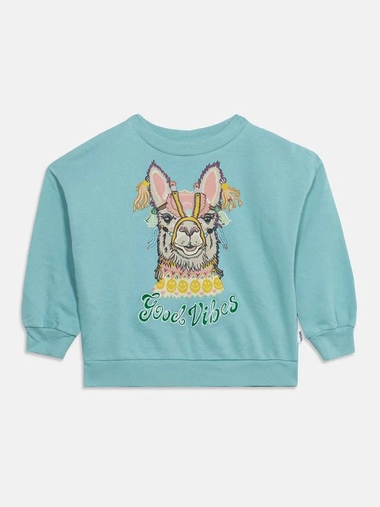 Foto van product Sweater Molo turquoise