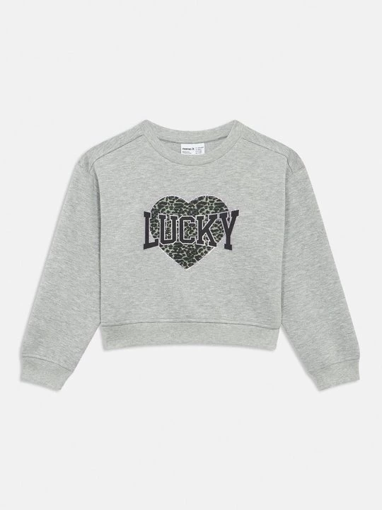Foto van product Sweater NAME IT grijs gemêleerd