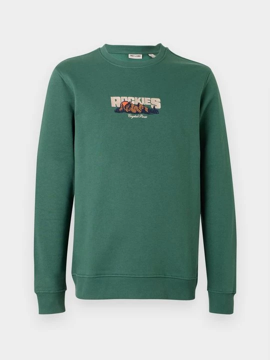 Foto van product Sweater Only & Sons groen