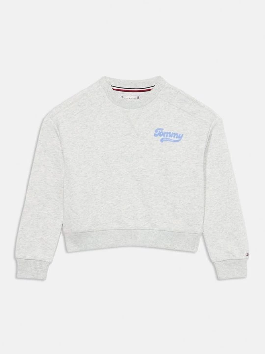 Foto van product Sweater Tommy Hilfiger grijs