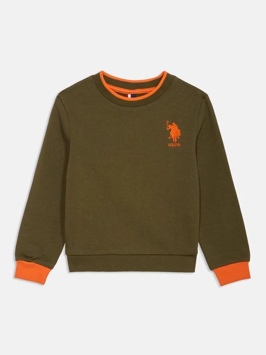 Foto van product Sweater U.S. POLO ASSN. groen