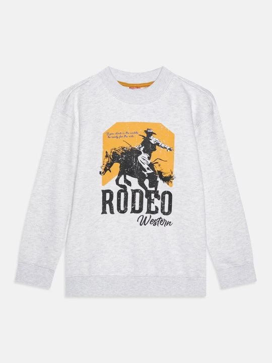 Foto van product Sweater VINGINO grijs