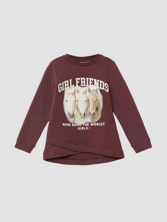 Foto van product Sweatshirt met overlappende zoom en knusse binnenkant s.Oliver rood