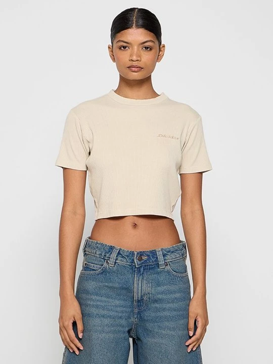Foto van product T-shirt basic Dickies beżowy