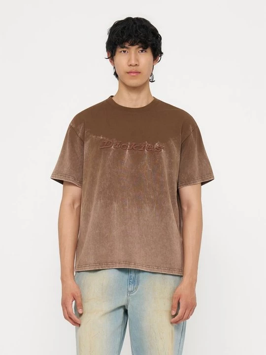 Foto van product T-shirt basic Dickies bruin