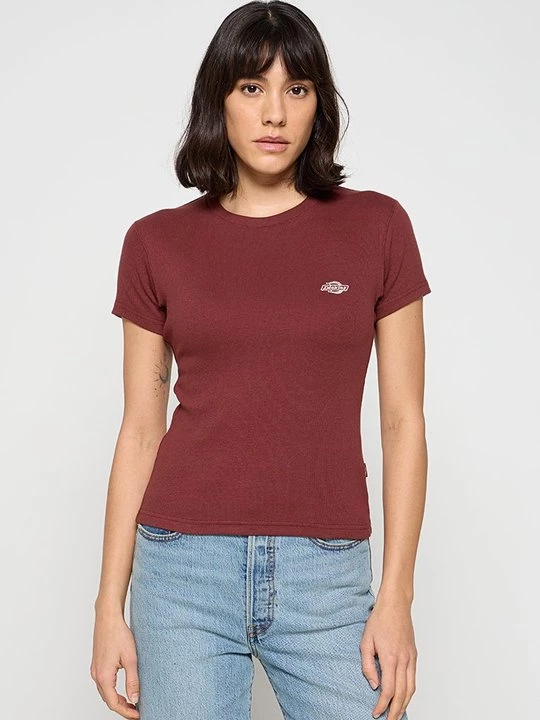 Foto van product T-shirt basic Dickies bruin