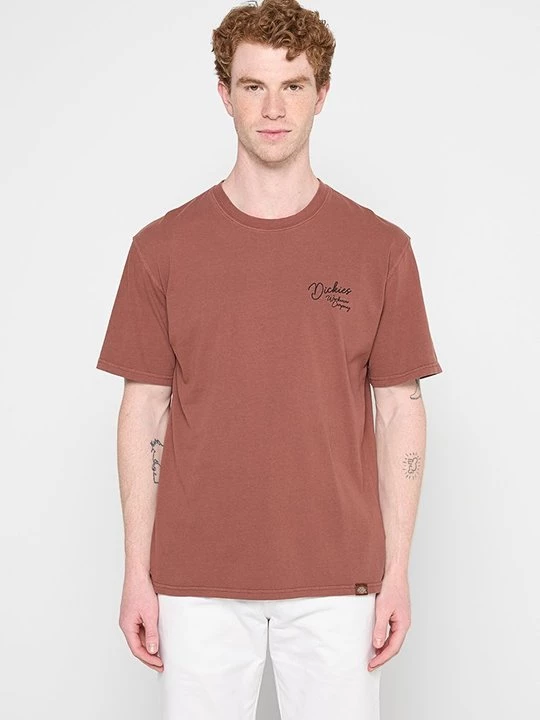 Foto van product T-shirt basic Dickies lichtbruin