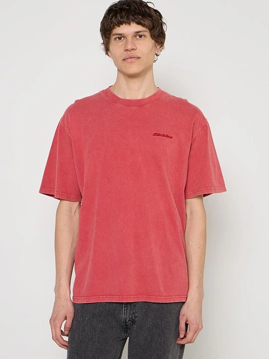 Foto van product T-shirt basic Dickies rood