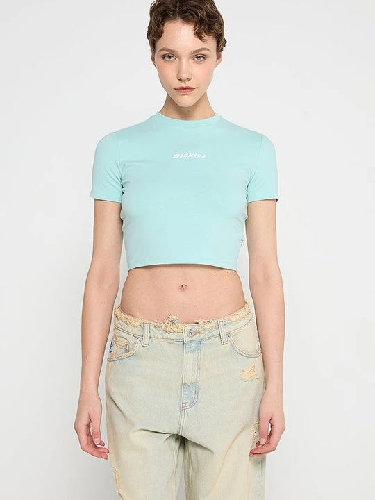 Foto van product T-shirt basic Dickies turquoise