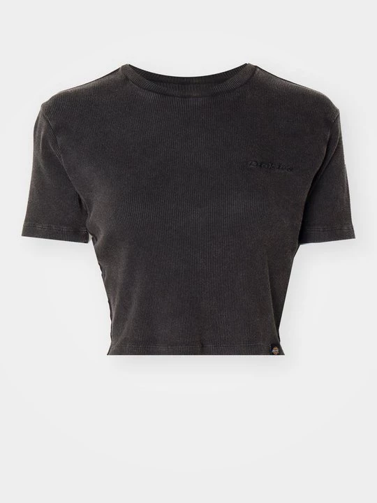 Foto van product T-shirt basic Dickies zwart
