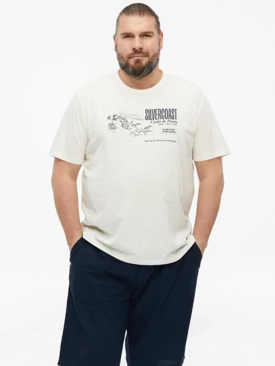 Foto van product T-shirt met vlammengaren en artwork s.Oliver crème