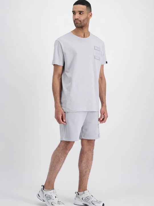 Foto van product T-shirt print Alpha Industries grijs