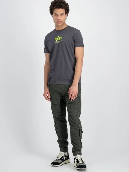 Foto van product T-shirt print Alpha Industries grijs