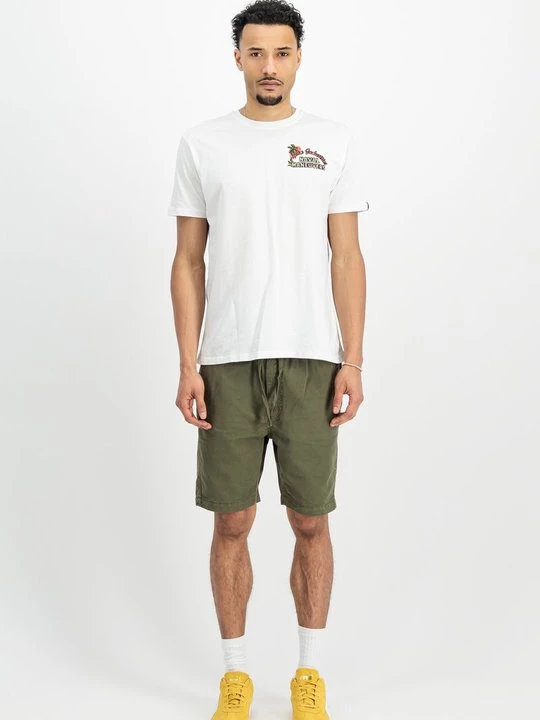 Foto van product T-shirt print Alpha Industries wit