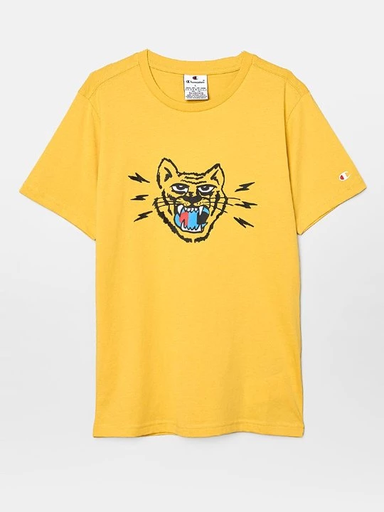 Foto van product T-shirt print Champion