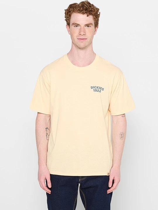 Foto van product T-shirt print Dickies