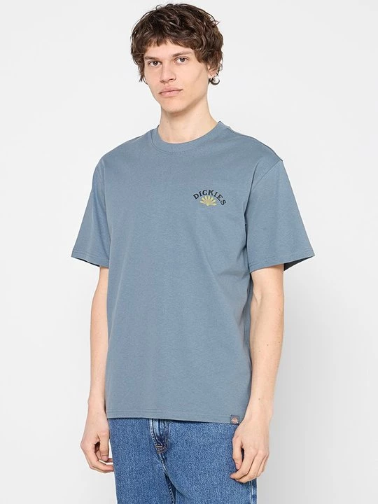Foto van product T-shirt print Dickies