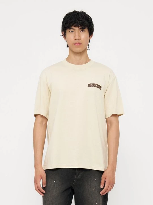 Foto van product T-shirt print Dickies beżowy